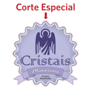 500 Adesivos Branco Brilho, Fosco ou Transparente, 5cm x 5cm, Corte Especial